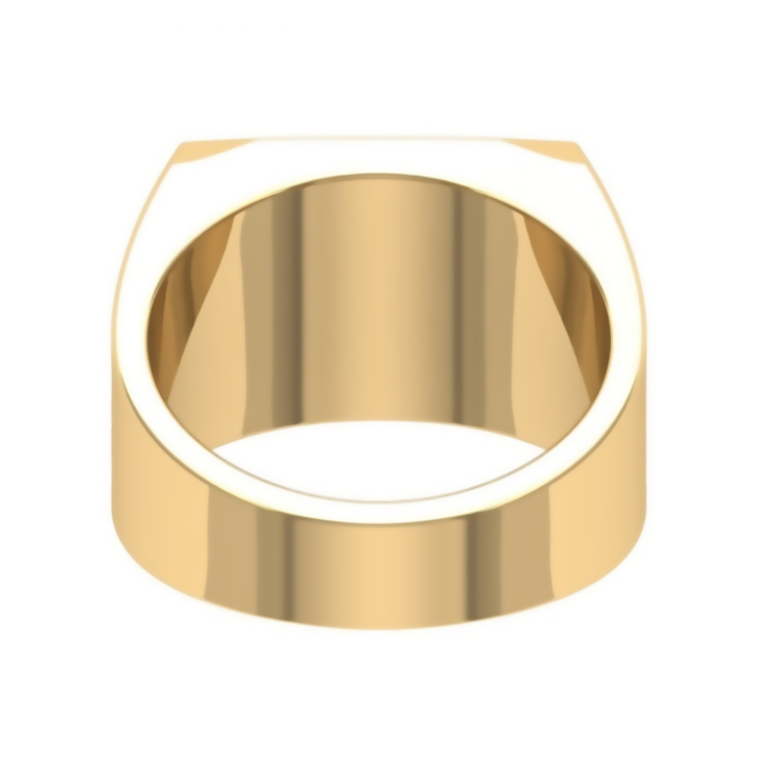 Oxford Anillo de Graduación Personalizado